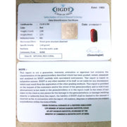 2.09/CT Natural Italian Moonga